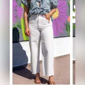 Hidden Nori wide leg crop jeans